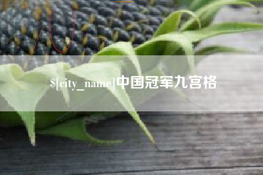 上海中国冠军九宫格