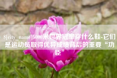 上海5000米世界冠军穿什么鞋-它们是运动员取得优异成绩背后的重要“功臣”