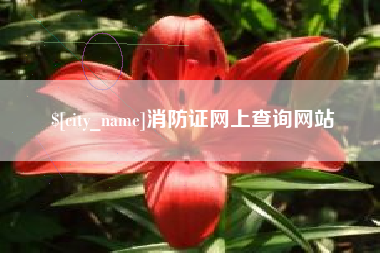 上海消防证网上查询网站