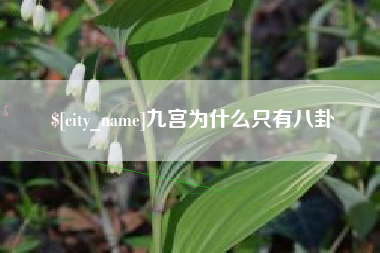 上海九宫为什么只有八卦