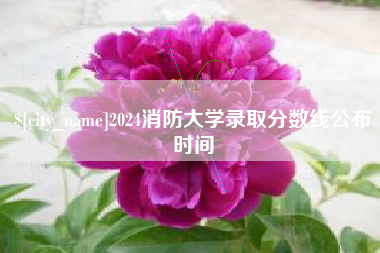 上海2024消防大学录取分数线公布时间