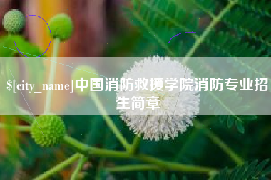 上海中国消防救援学院消防专业招生简章