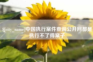 上海中国执行案件查询公开网都是执行不了得案子