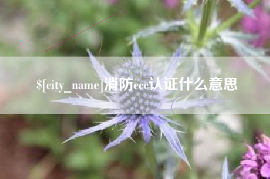 上海消防ccc认证什么意思
