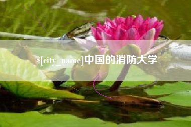 上海中国的消防大学