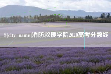 上海消防救援学院2020高考分数线