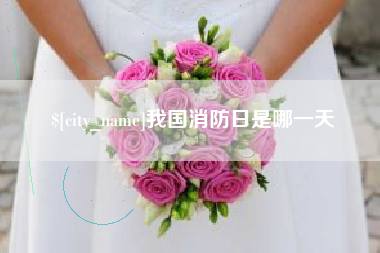 上海我国消防日是哪一天