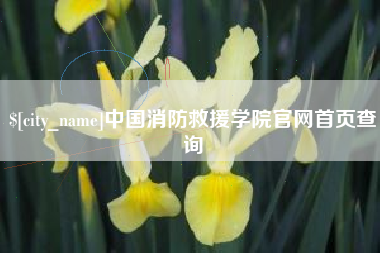 上海中国消防救援学院官网首页查询
