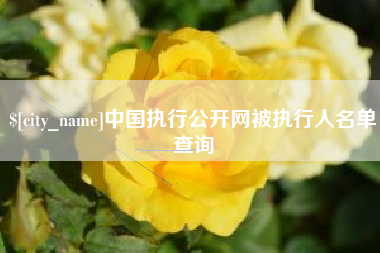 上海中国执行公开网被执行人名单查询