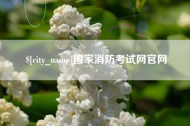 上海国家消防考试网官网