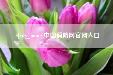 上海中国消防网官网入口