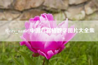 上海中国九宫格数字图片大全集