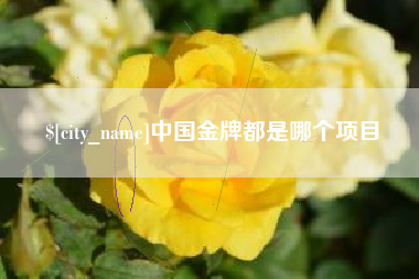 上海中国金牌都是哪个项目