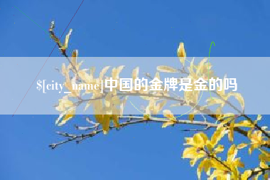 上海中国的金牌是金的吗