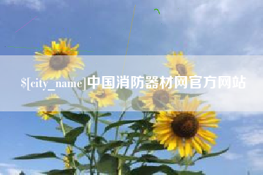 上海中国消防器材网官方网站