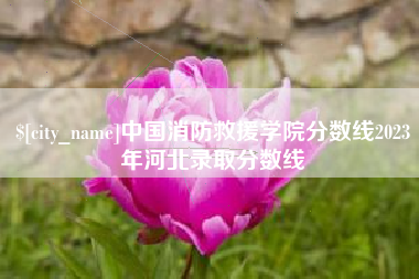 上海中国消防救援学院分数线2023年河北录取分数线