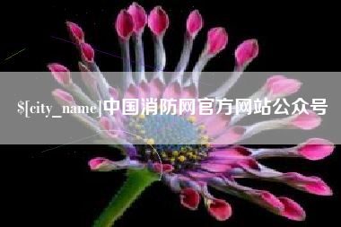 上海中国消防网官方网站公众号