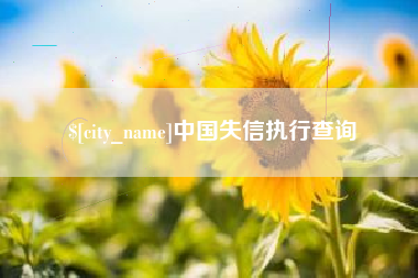 上海中国失信执行查询