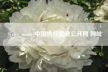 上海中国执行信息公开网 网址
