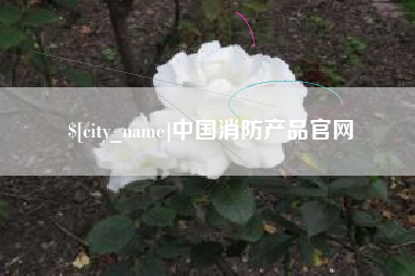 上海中国消防产品官网