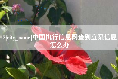 上海中国执行信息网查到立案信息怎么办