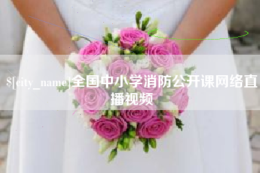 上海全国中小学消防公开课网络直播视频