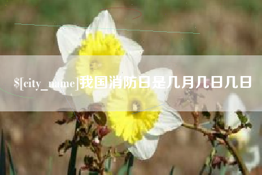 上海我国消防日是几月几日几日