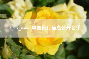 上海中国执行信息公开名单