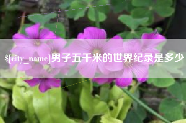 上海男子五千米的世界纪录是多少