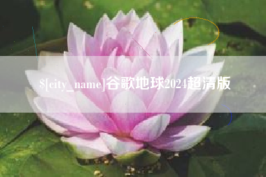 上海谷歌地球2024超清版