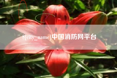 上海中国消防网平台