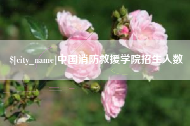 上海中国消防救援学院招生人数