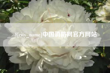 上海中国消防网官方网站