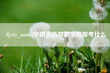 上海中国消防救援学院都考什么