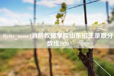 上海消防救援学院山东招生录取分数线2020