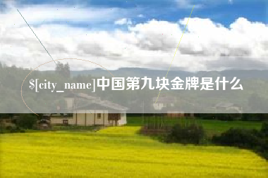上海中国第九块金牌是什么