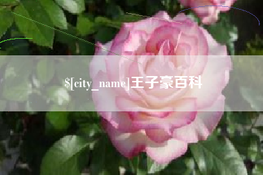 上海王子豪百科