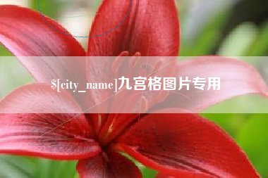 上海九宫格图片专用