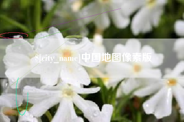 上海中国地图像素版