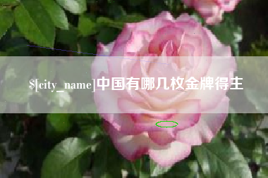 上海中国有哪几枚金牌得主