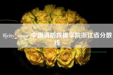 上海中国消防救援学院浙江省分数线