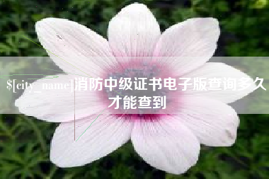 上海消防中级证书电子版查询多久才能查到