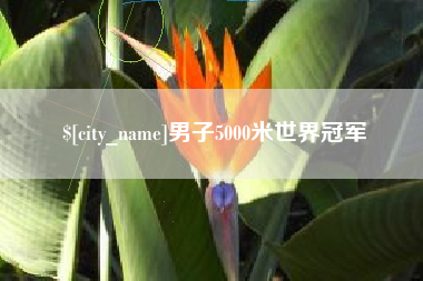 上海男子5000米世界冠军
