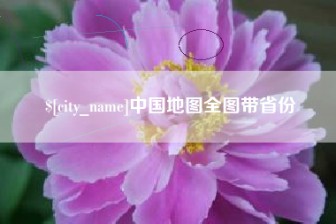 上海中国地图全图带省份