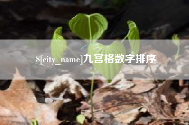上海九宫格数字排序