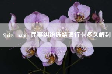 上海民事纠纷冻结银行卡多久解封