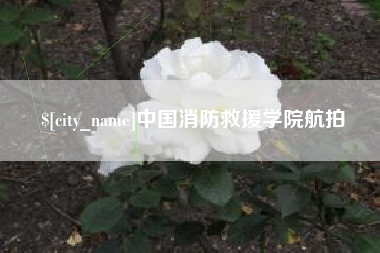 上海中国消防救援学院航拍