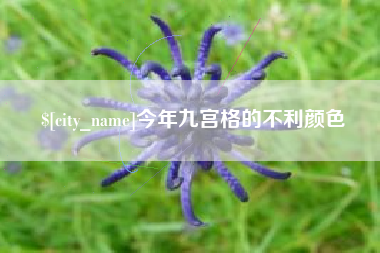 上海今年九宫格的不利颜色