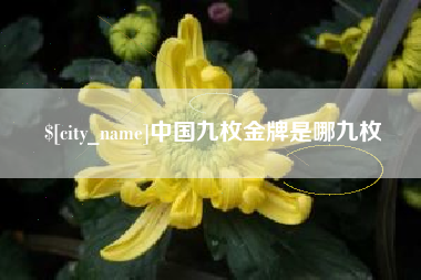 上海中国九枚金牌是哪九枚