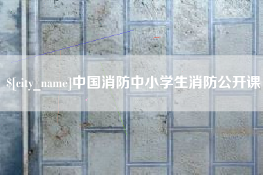 上海中国消防中小学生消防公开课